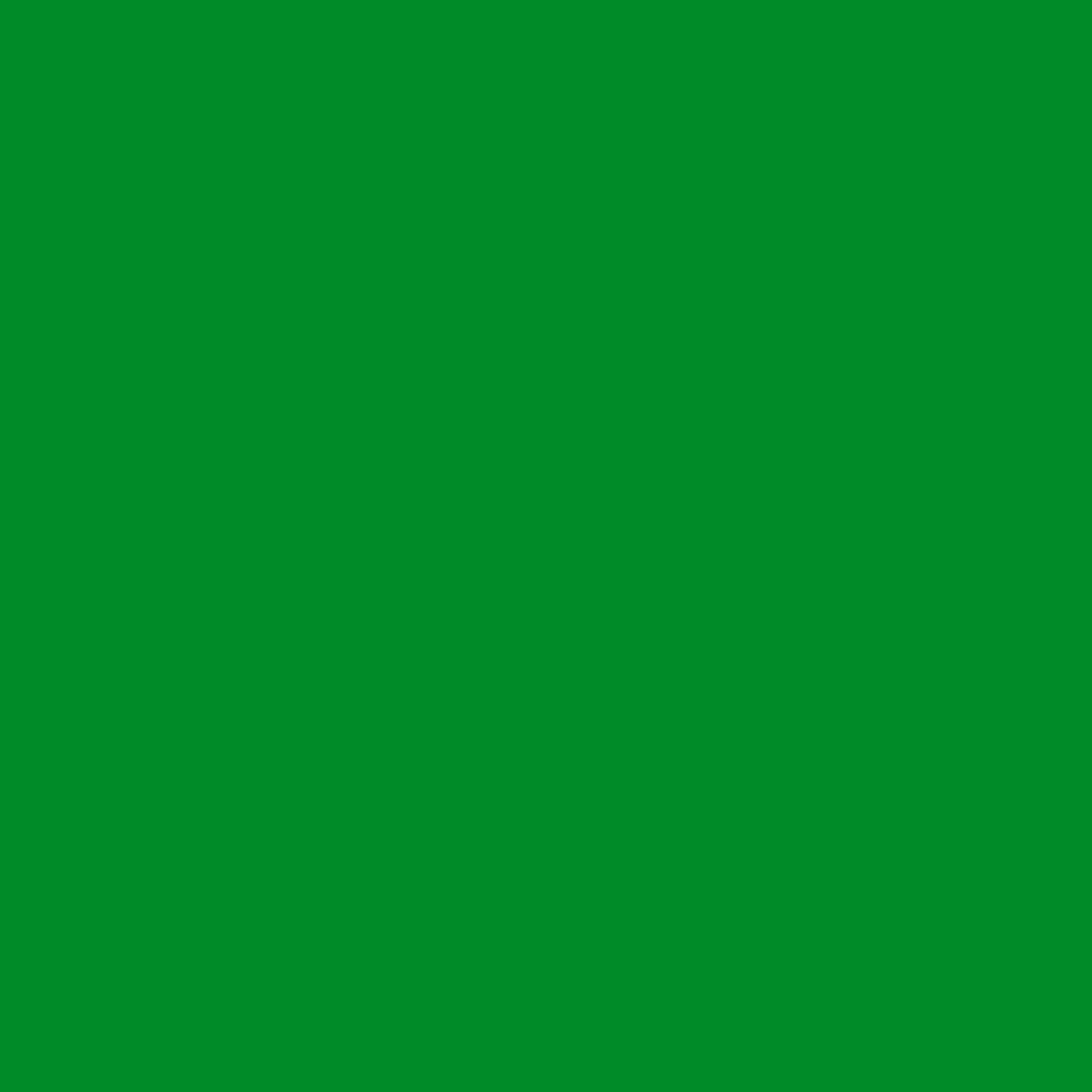 ZINSSER ALLCOAT EXTERIOR SATIN WATER BASED RAL 6037 1L