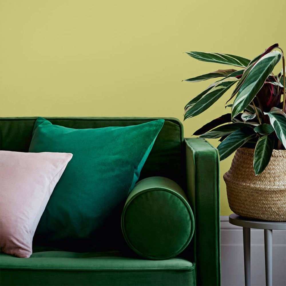 CROWN TRADE VINYL MATT GENTLE OLIVE 5L