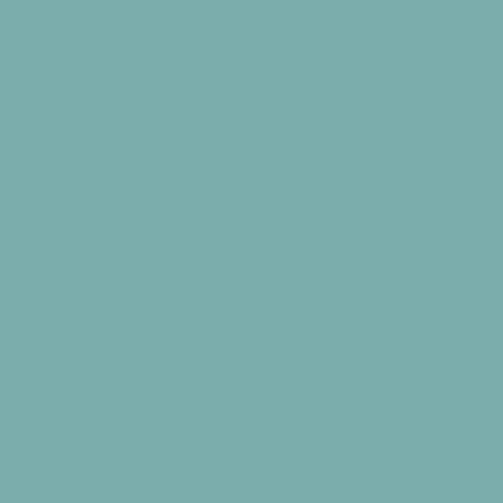 ZINSSER BULLS EYE 123 PRIMER RAL 6034 1L